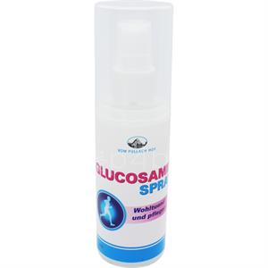 Glukosamin Spray - 100 ml