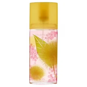 Elizabeth Arden Green Tea Mimosa Eau De Toilette - 100ml