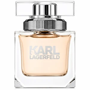 Karl Lagerfeld Pour Femme Eau De Parfum