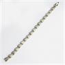 titanium-magnet-armbaand-3000-gauss-pr-magnet-.jpg